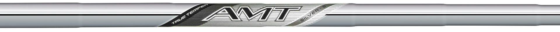 AMT SILVER