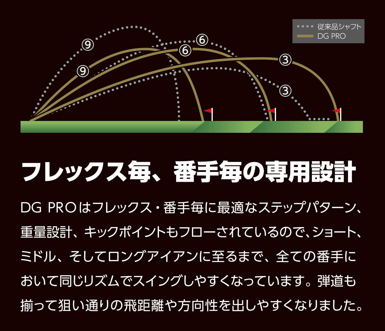 DG PRO